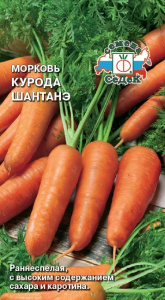 Морковь Курода Шантанэ  купить