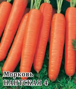 Морковь Нантская 4  25г ПРОФ купить