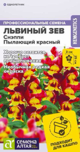  Львиный зев Снэппи Пылающий красный  купить