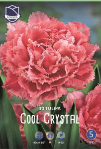 Тюльпан Кул Кристал махровый /5шт купить