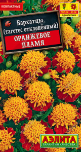 Бархатцы Оранжевое пламя  купить