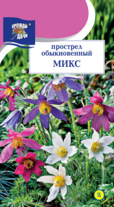 Прострел Микс обыкновенный  купить