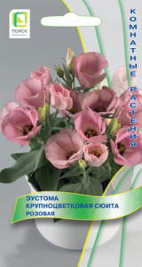 Эустома Сюита Розовая крупноцветковая  купить