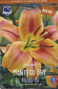 Лилия O.T. Montego Bay /3шт купить