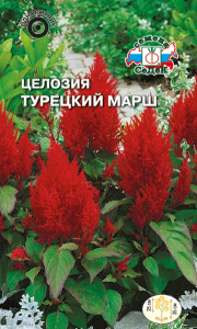Целозия Турецкий марш перистая купить