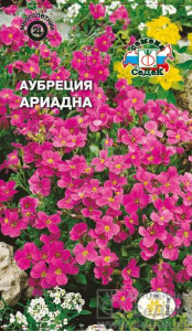 Аубреция Ариадна (розово-лиловая)  купить