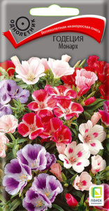 Годеция Монарх купить