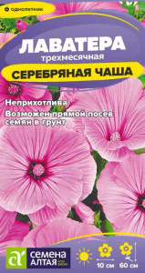 Лаватера Серебряная чаша  купить