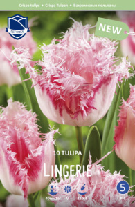 Тюльпан бахромчатый "Lingerie" (1х10шт) купить
