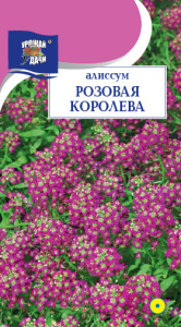 Алиссум Розовая Королева  купить