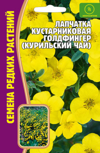 Лапчатка Goldfinger кустарниковая купить