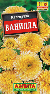 Календула Ванилла  купить