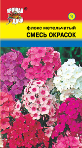 Флокс метельчатый Смесь окрасок  купить