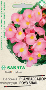 Бегония Амбассадор Роуз блаш F1 вечноцв.  купить
