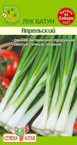Лук Апрельский, батун купить