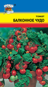 Томат Балконное Чудо  купить