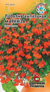Лобелия Маркиза, ампельная Уд. с. купить