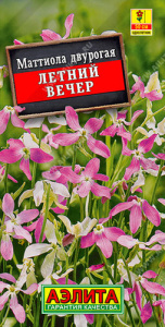 Маттиола Летний вечер  купить