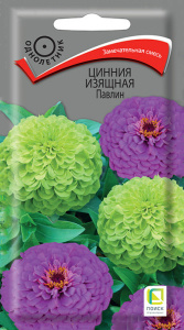 Цинния Павлин изящная купить