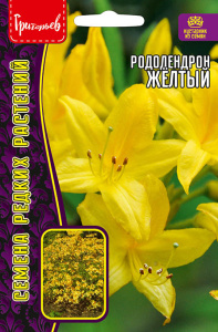 Рододендрон Желтый купить