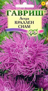 Астра Краллен Сиам купить