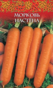 Морковь лента Настена  купить