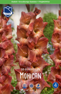Гладиолус XXL Mohican 14/16 /10шт купить