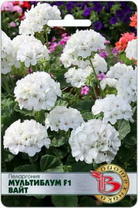 Пеларгония зональная Мультиблум F1 Вайт купить