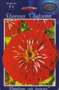 Цинния Скарлетт/1шт купить