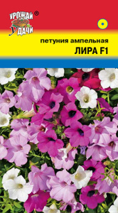Петуния Лира F1  купить
