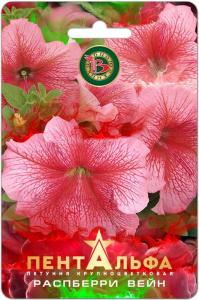 Петуния Пентальфа F1 Распберри Вейн  купить