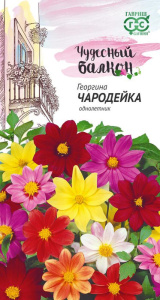 Георгина Чародейка смесь  купить
