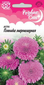 Астра Плюшка мармеладная Розовые сны  купить