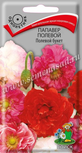 Папавер Полевой букет  купить