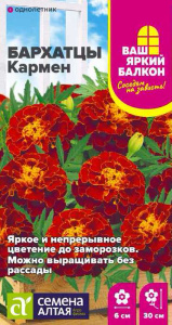 Бархатцы Кармен низкорослые махровые  купить