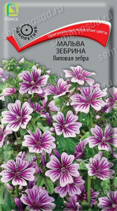 Мальва зебрина Лиловая зебра купить