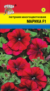 Петуния Марика F1  купить