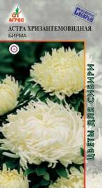 Астра Хризантемовидная Бирма 0,3г купить