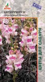 Антирринум Бронзовый дракон 10шт купить