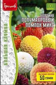 Георгина Полумахровый Помпон Микс  купить