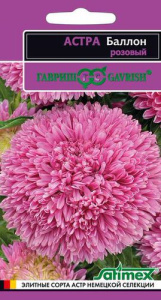 Астра Баллон розовый Эксклюзив купить