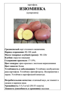 Картофель Изюминка А5 фото купить