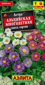 Астра Альпийская многолетняя, смесь сортов купить