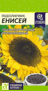 Подсолнечник Енисей 10г купить