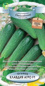 Огурец Клавдия Агро F1 купить