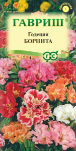 Годеция Борнита прелестная низкая, смесь  купить
