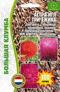 Астра Три Ёжика игл купить