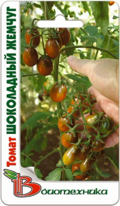 Томат Шоколадный жемчуг  купить