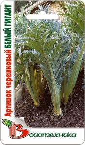 Артишок черешковый Белый гигант  купить