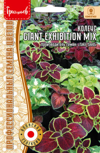 Колеус Гигант Эксибишн Микс (Giant Exhibition Mix) купить